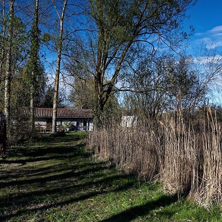 Espace Nature Studio Independant Proche Du Parc Des Oiseaux Sainte-Olive Εξωτερικό φωτογραφία