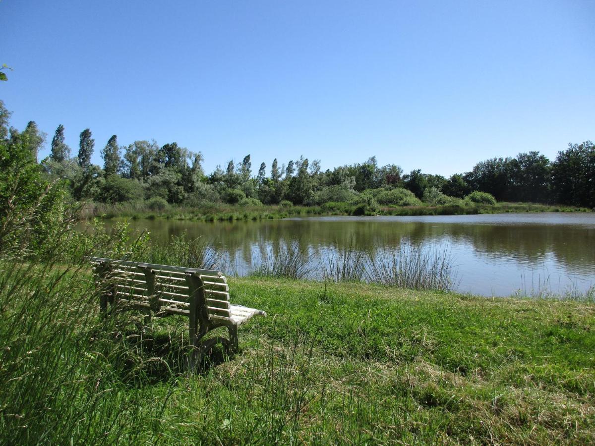 Espace Nature Studio Independant Proche Du Parc Des Oiseaux Sainte-Olive Εξωτερικό φωτογραφία
