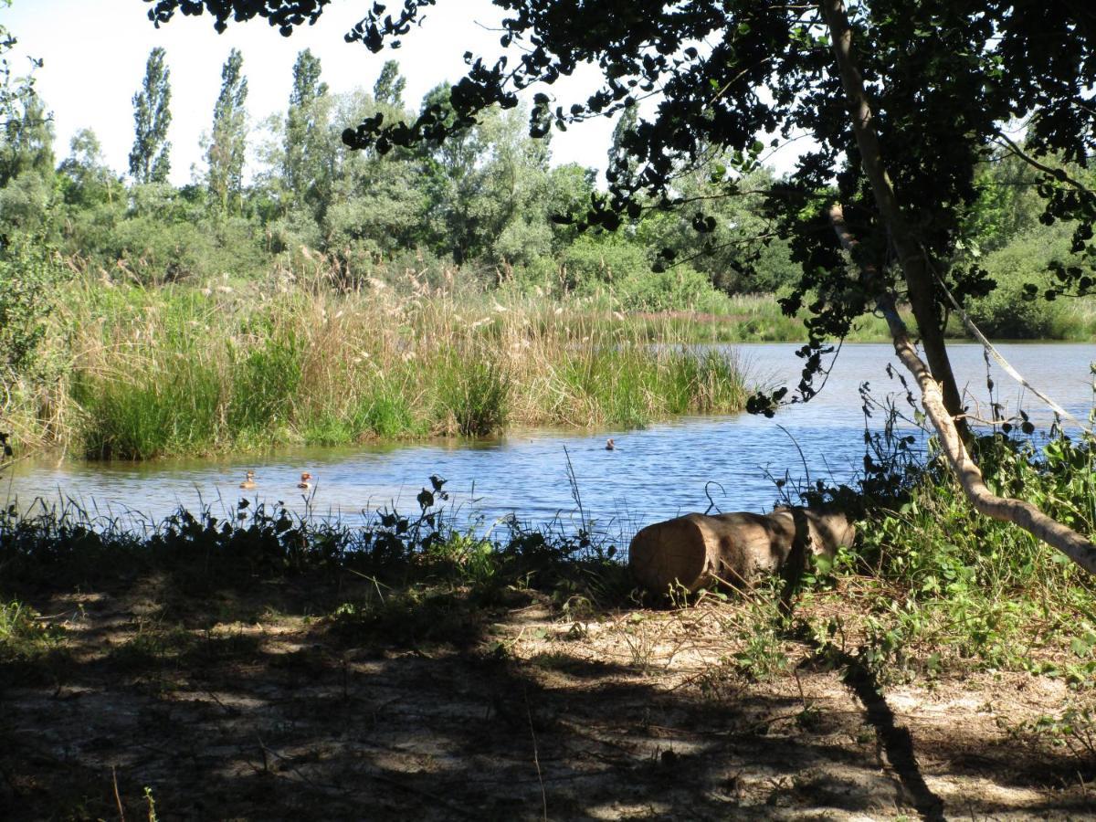 Espace Nature Studio Independant Proche Du Parc Des Oiseaux Sainte-Olive Εξωτερικό φωτογραφία