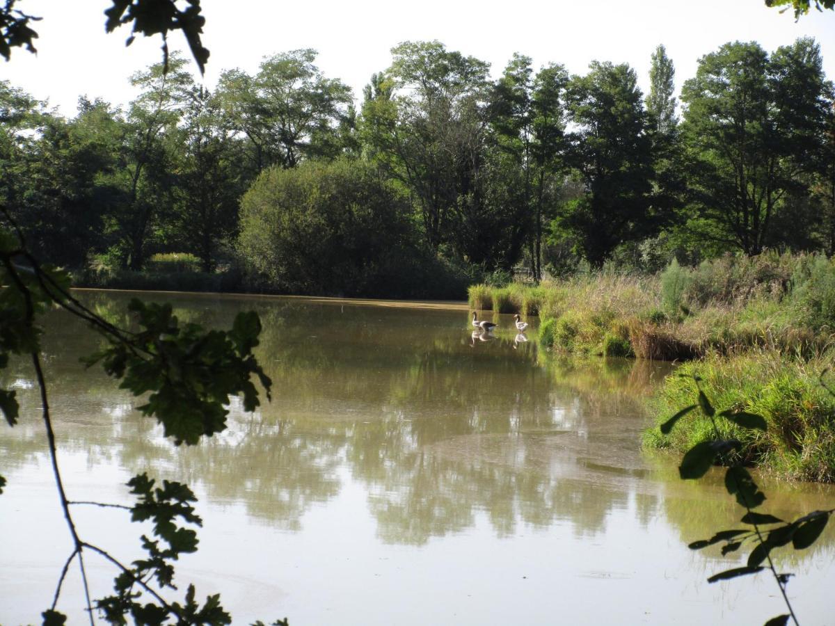 Espace Nature Studio Independant Proche Du Parc Des Oiseaux Sainte-Olive Εξωτερικό φωτογραφία