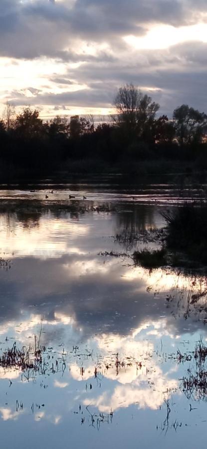 Espace Nature Studio Independant Proche Du Parc Des Oiseaux Sainte-Olive Εξωτερικό φωτογραφία