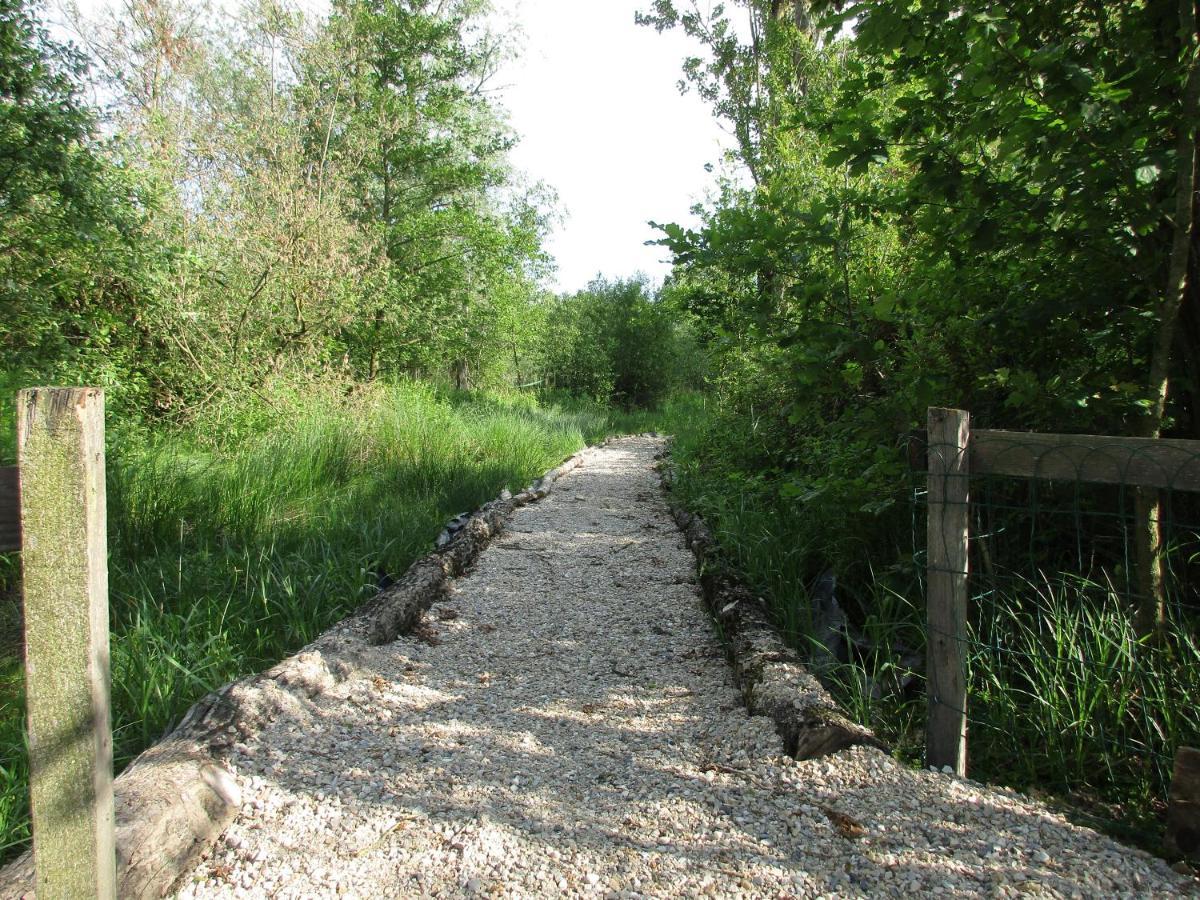 Espace Nature Studio Independant Proche Du Parc Des Oiseaux Sainte-Olive Εξωτερικό φωτογραφία