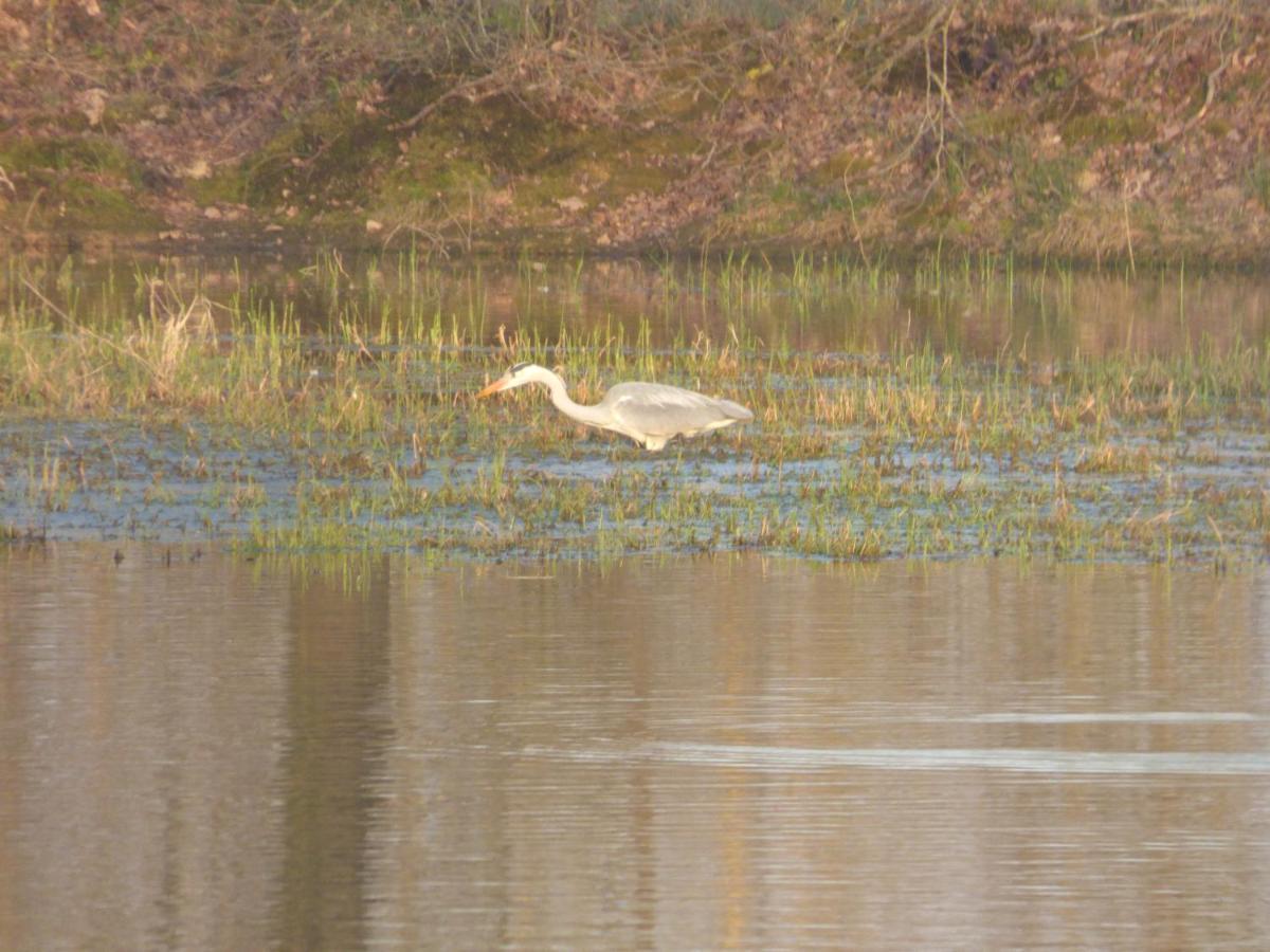 Espace Nature Studio Independant Proche Du Parc Des Oiseaux Sainte-Olive Εξωτερικό φωτογραφία