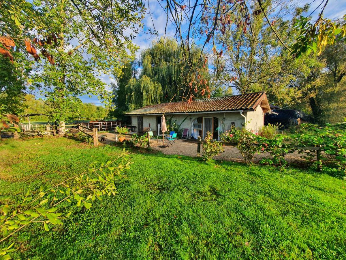 Espace Nature Studio Independant Proche Du Parc Des Oiseaux Sainte-Olive Εξωτερικό φωτογραφία