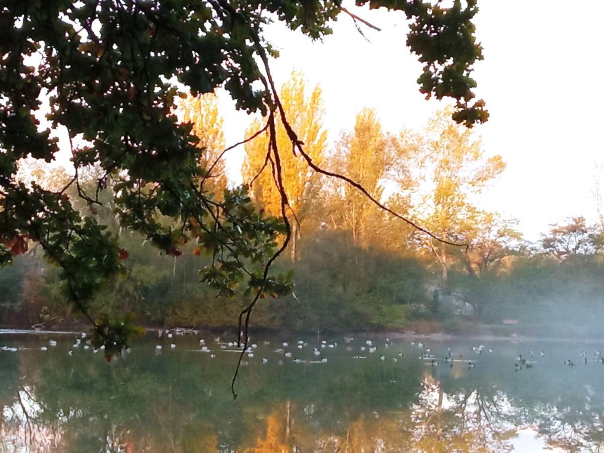 Espace Nature Studio Independant Proche Du Parc Des Oiseaux Sainte-Olive Εξωτερικό φωτογραφία