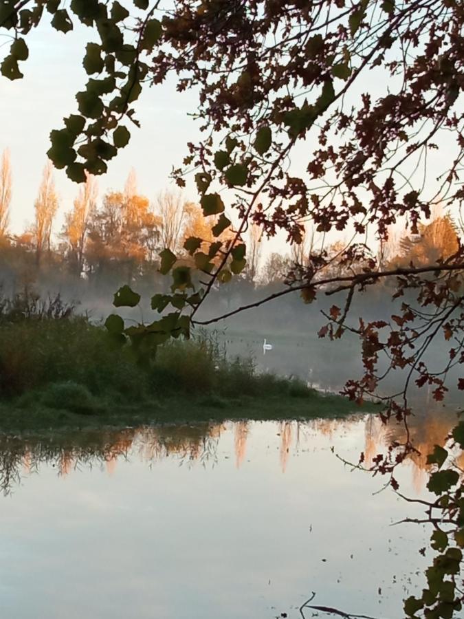 Espace Nature Studio Independant Proche Du Parc Des Oiseaux Sainte-Olive Εξωτερικό φωτογραφία