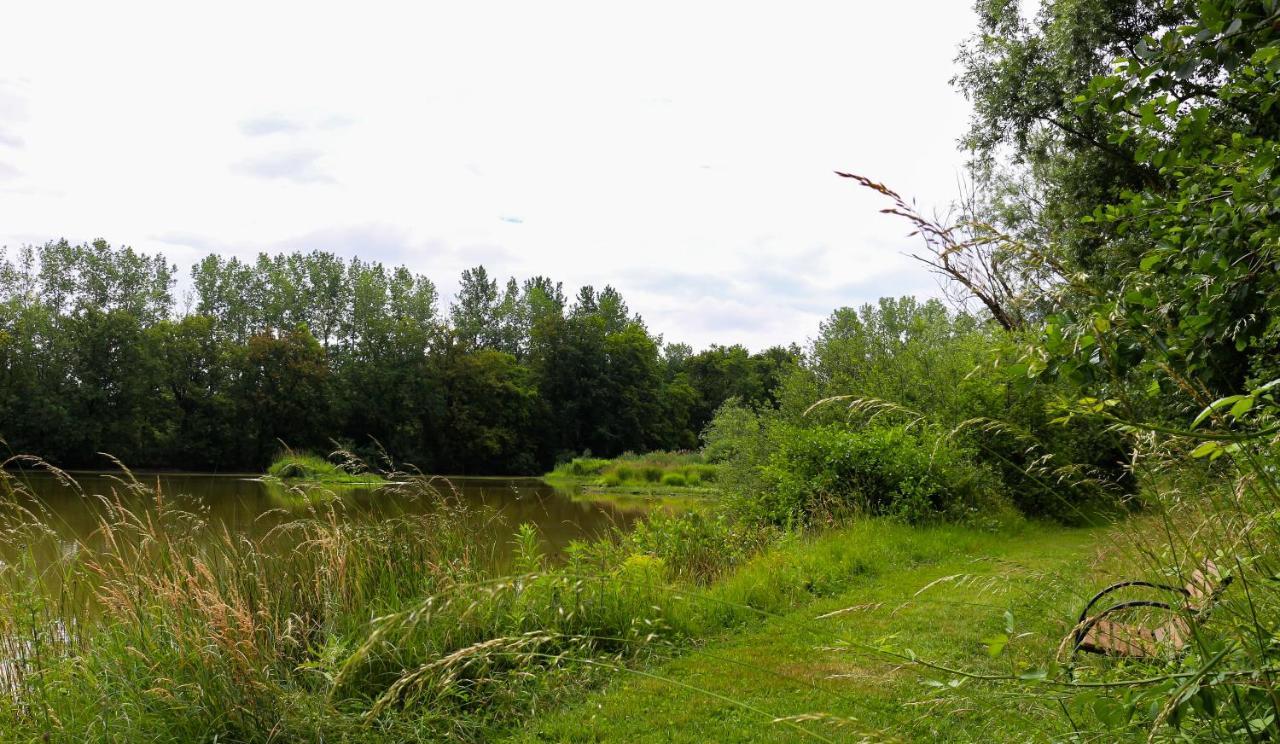 Espace Nature Studio Independant Proche Du Parc Des Oiseaux Sainte-Olive Εξωτερικό φωτογραφία