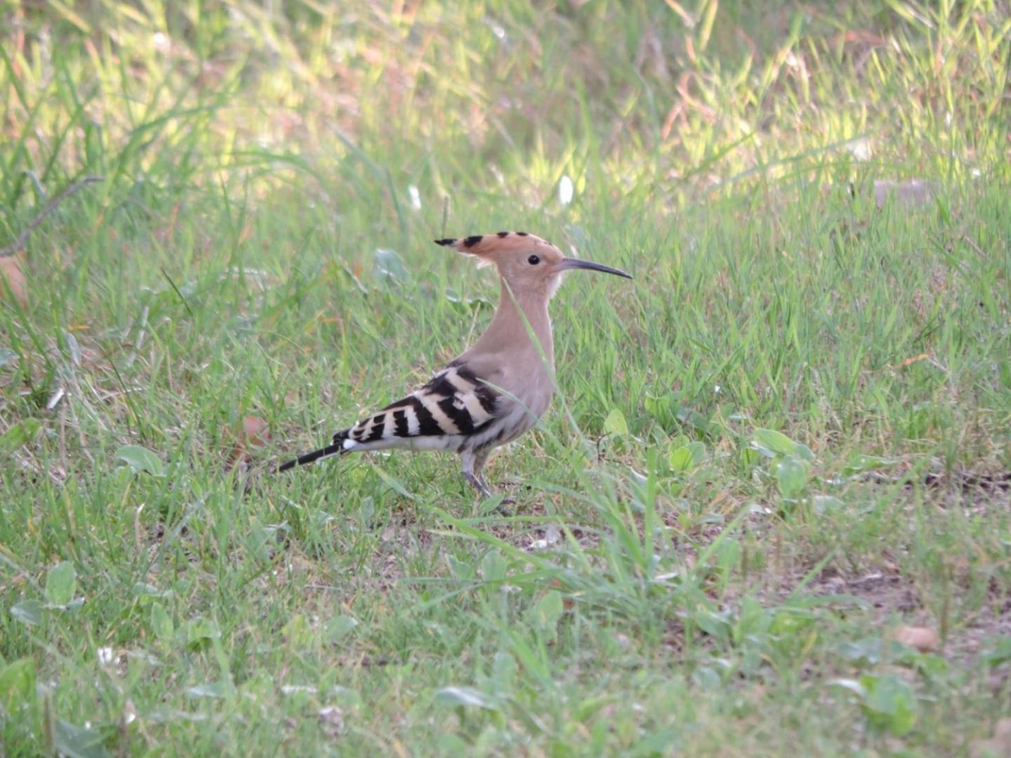 Espace Nature Studio Independant Proche Du Parc Des Oiseaux Sainte-Olive Εξωτερικό φωτογραφία