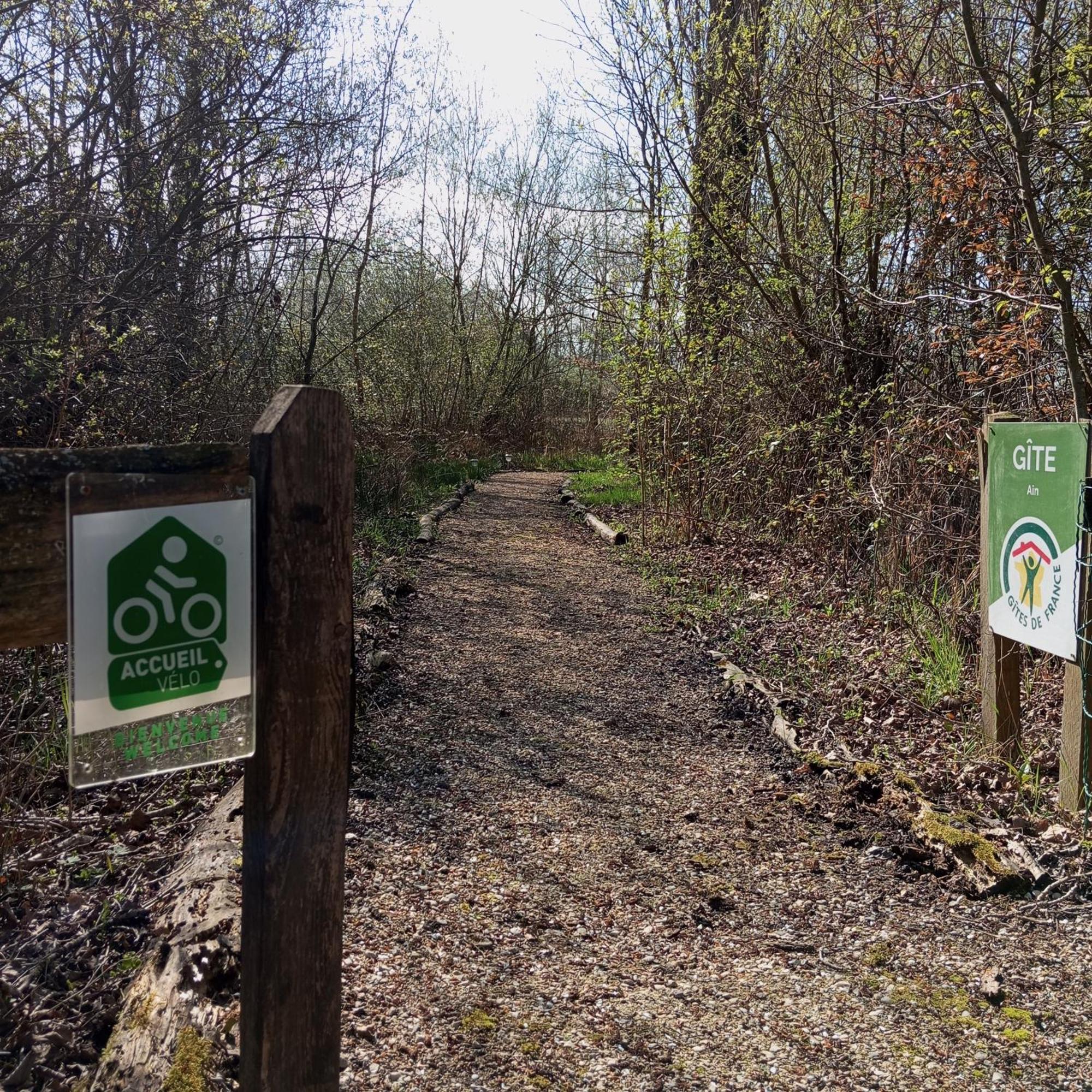 Espace Nature Studio Independant Proche Du Parc Des Oiseaux Sainte-Olive Εξωτερικό φωτογραφία
