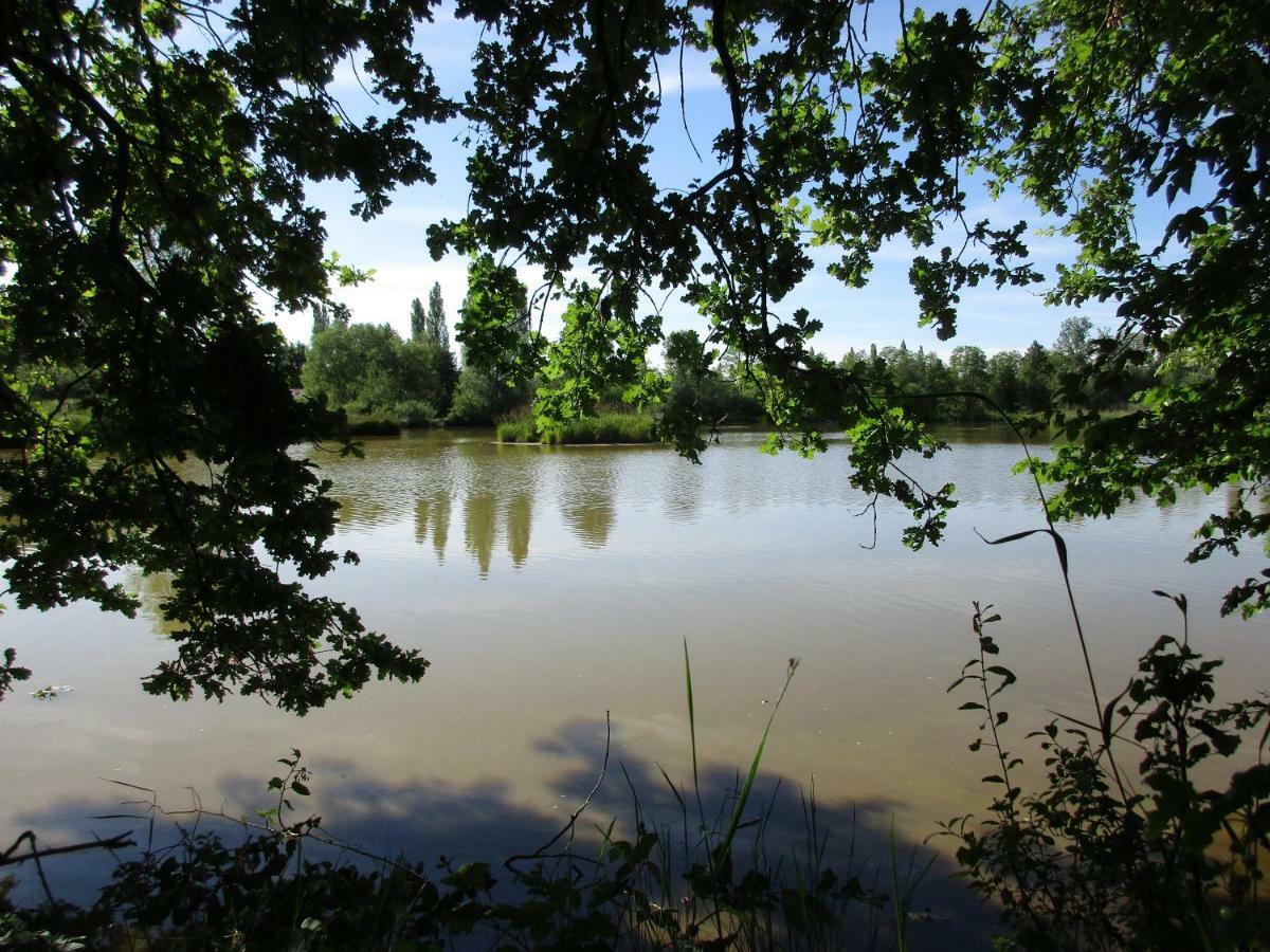 Espace Nature Studio Independant Proche Du Parc Des Oiseaux Sainte-Olive Εξωτερικό φωτογραφία